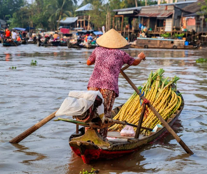 Cu Chi Tunnels & Mekong Delta cu chi tunnels and mekong delta