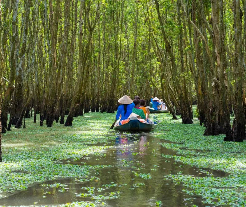 Mekong Delta Day Tour mekong delta tour