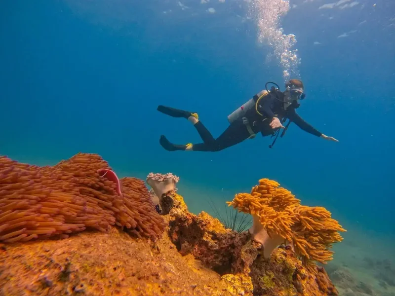 Nha Trang Scuba Fun dive Day Tour nha trang scuba diving vietnam
