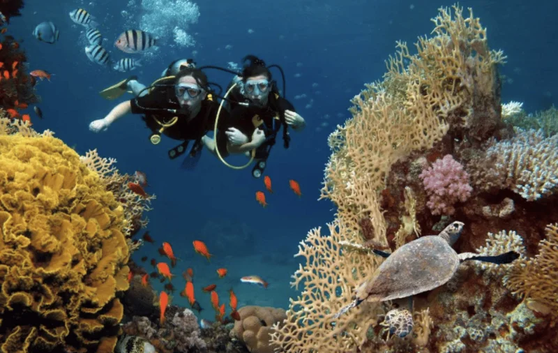 Nha Trang Scuba Fun dive Day Tour scuba nha trang