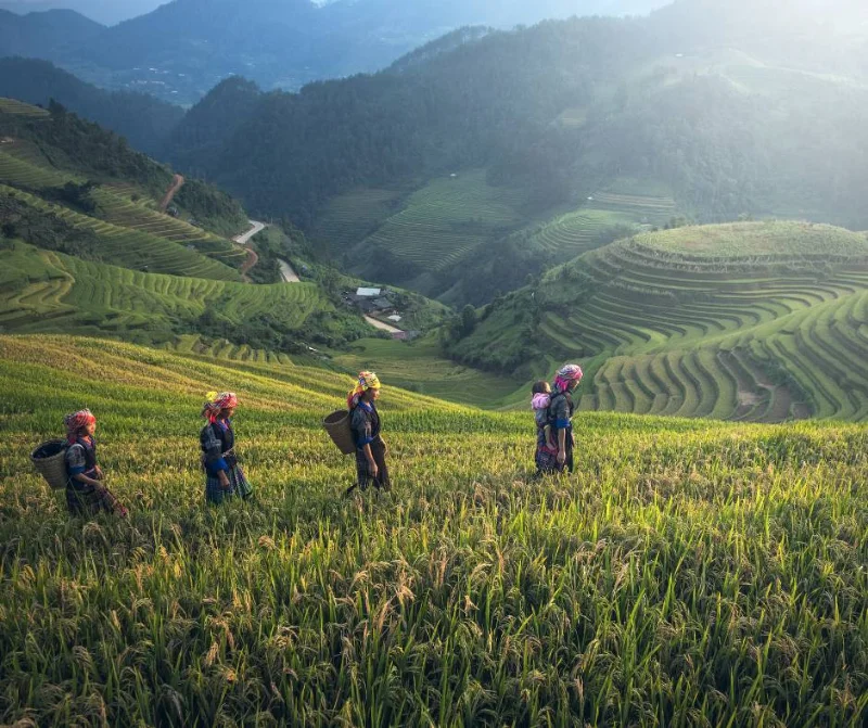 sapa 3 day itinerary